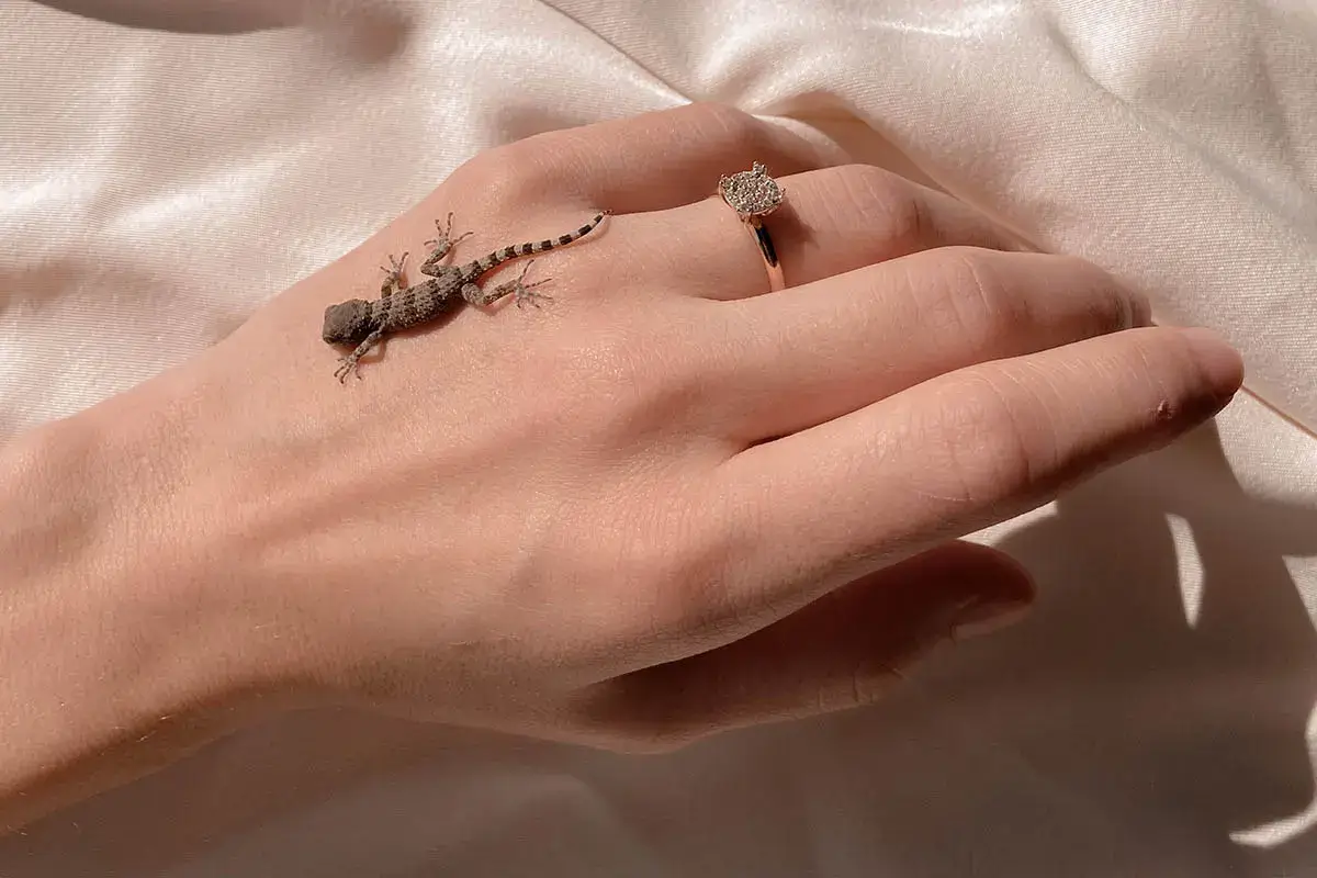 Quis et ipsa molestiae sed blanditiis rerum